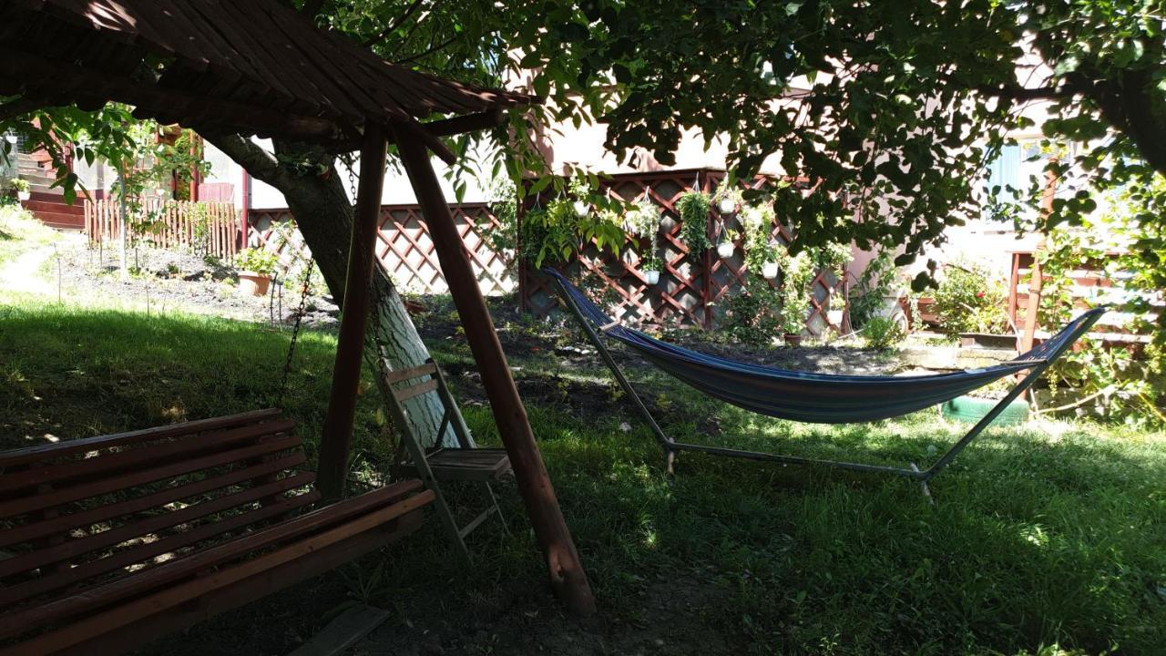 Casa Lorena Sărata-Monteoru Екстериор снимка