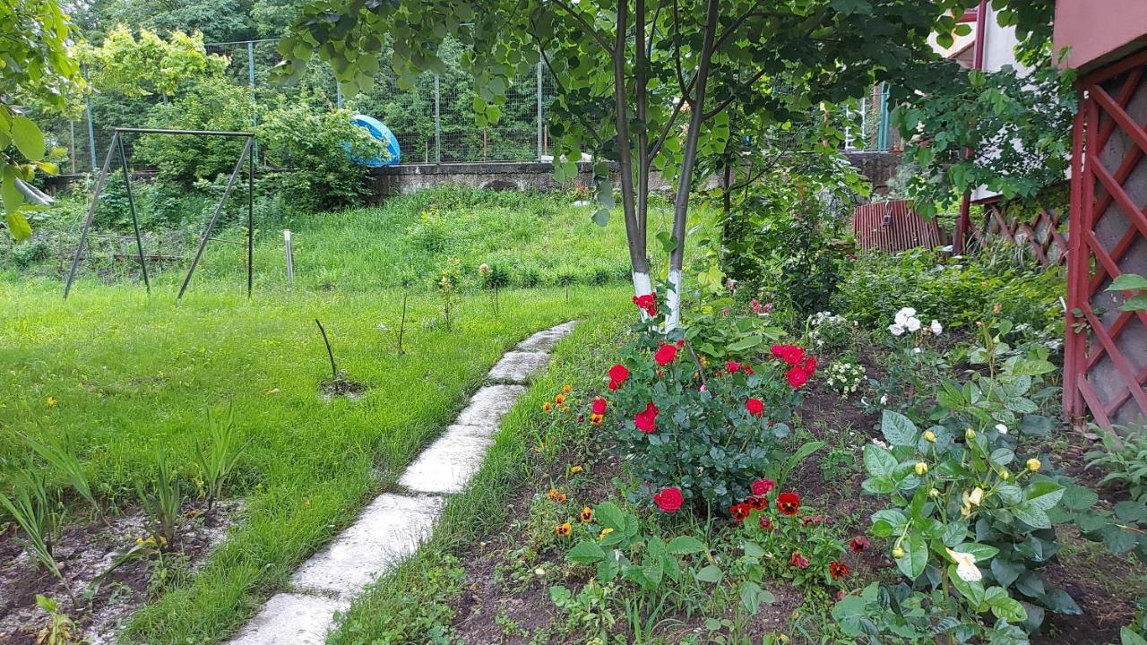 Casa Lorena Sărata-Monteoru Екстериор снимка