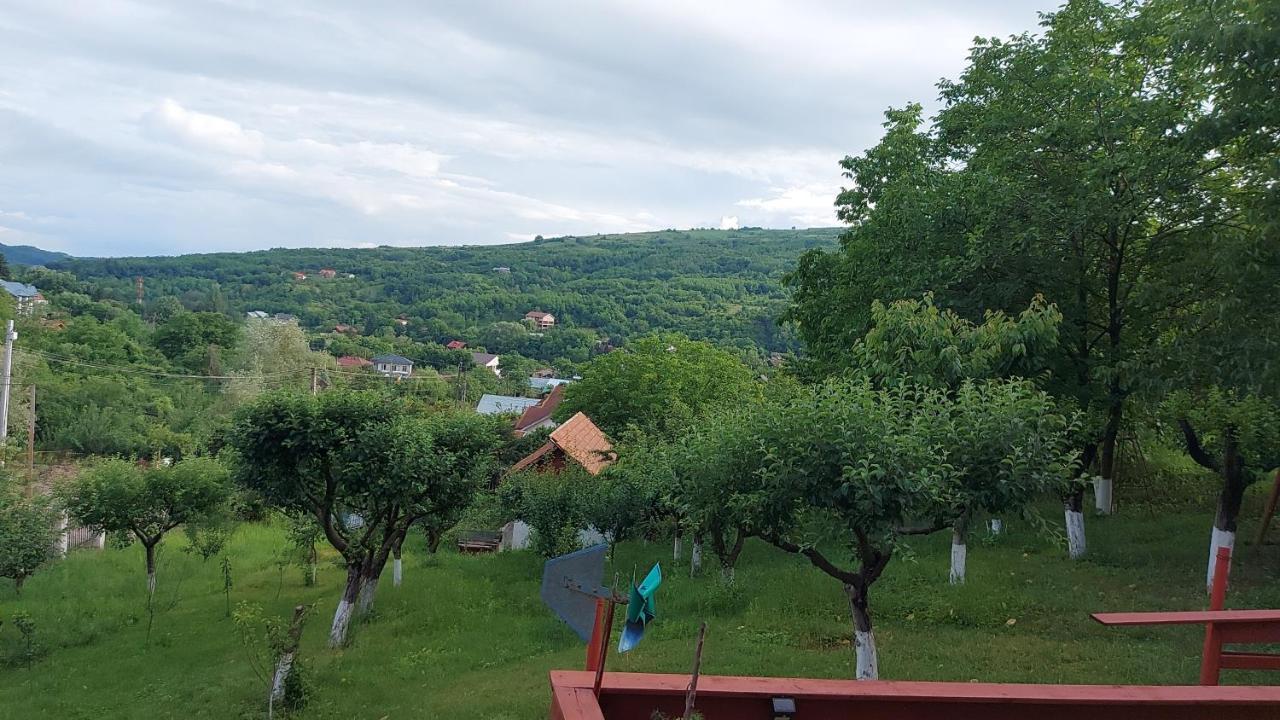 Casa Lorena Sărata-Monteoru Екстериор снимка