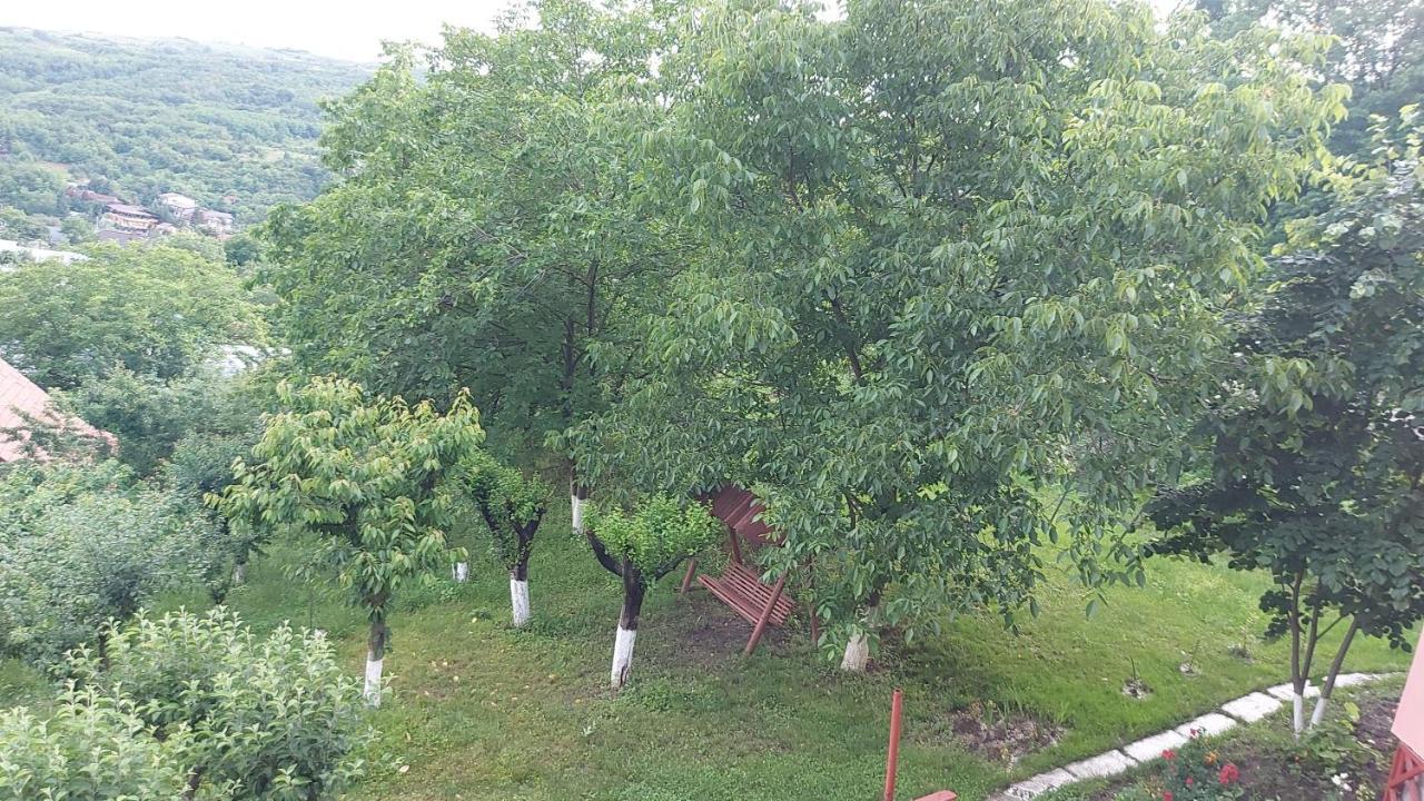 Casa Lorena Sărata-Monteoru Екстериор снимка