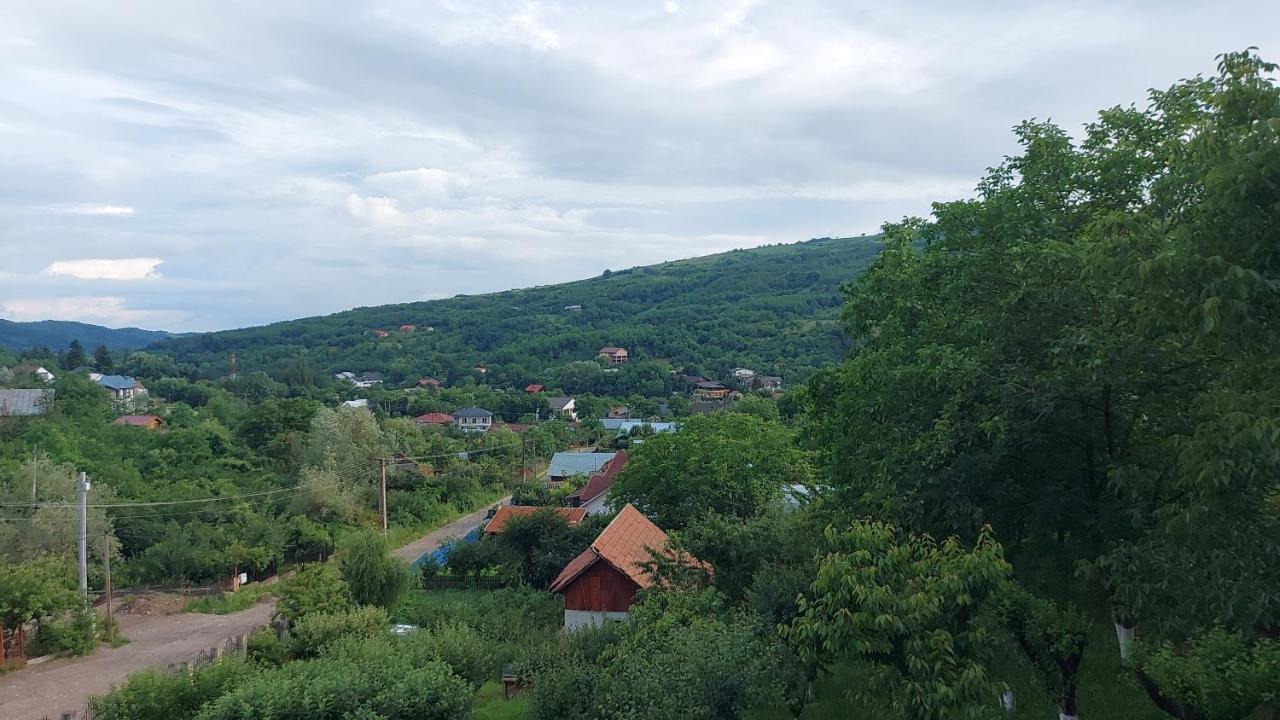 Casa Lorena Sărata-Monteoru Екстериор снимка