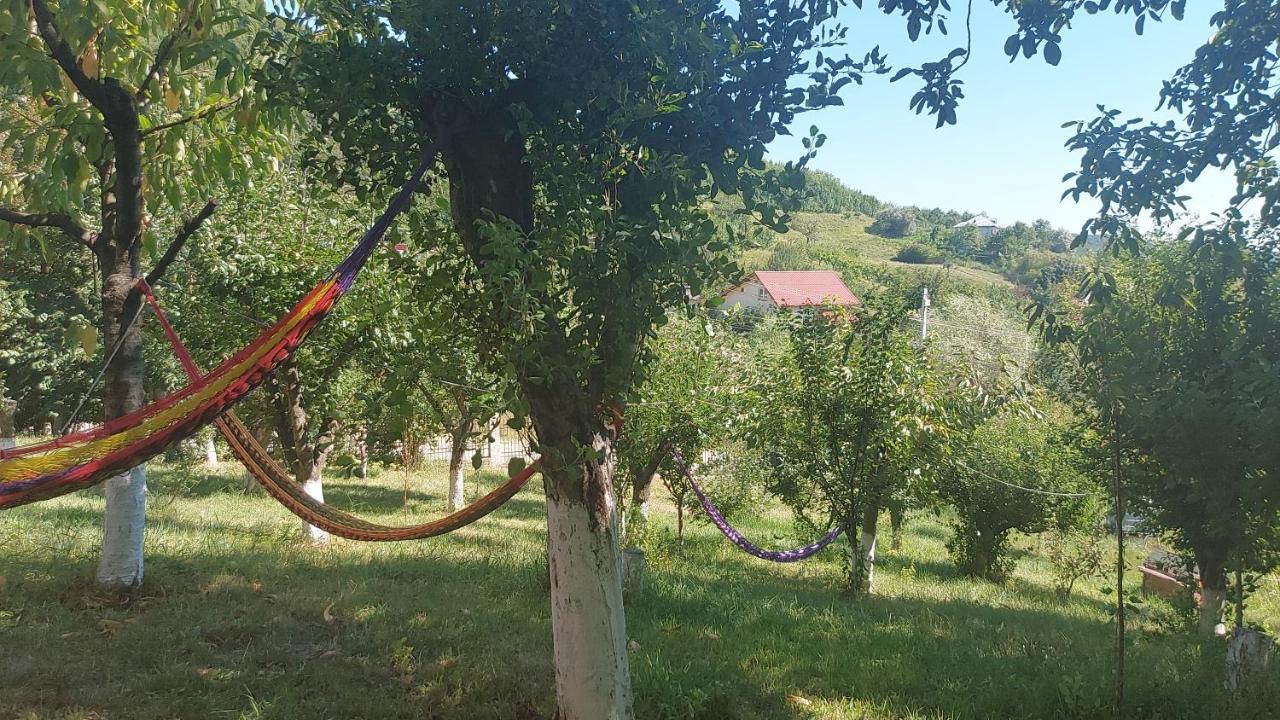 Casa Lorena Sărata-Monteoru Екстериор снимка