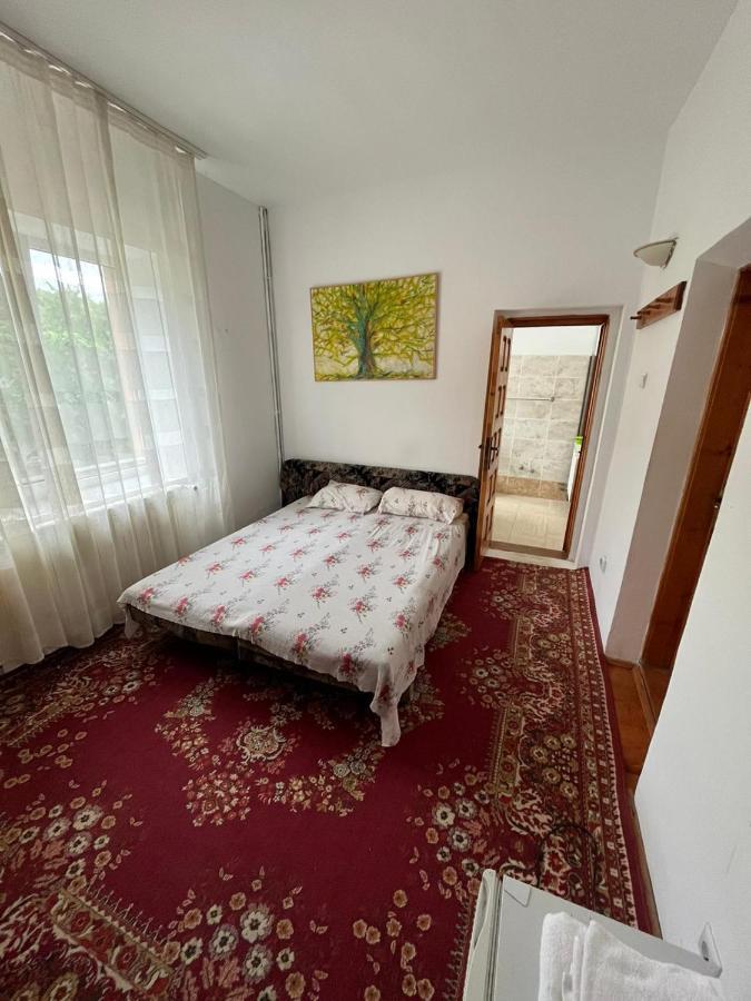 Casa Lorena Sărata-Monteoru Екстериор снимка