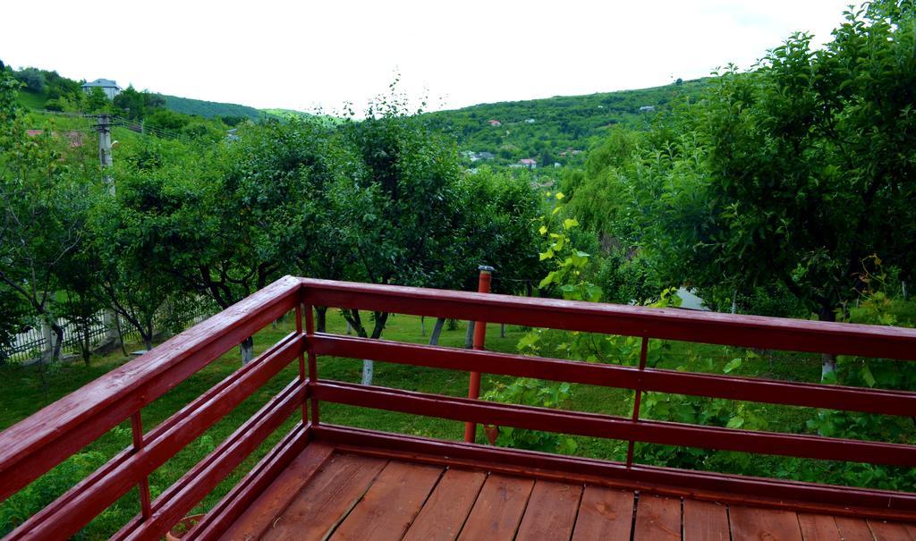 Casa Lorena Sărata-Monteoru Екстериор снимка