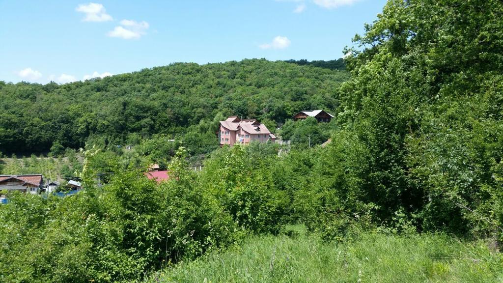 Casa Lorena Sărata-Monteoru Стая снимка